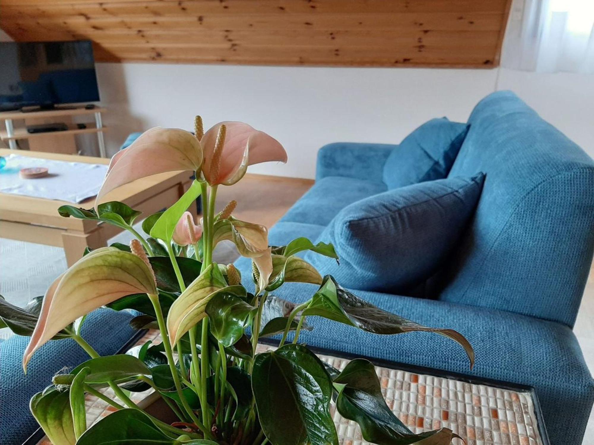 Ferienwohnung Am Patenberg Finnentrop Exteriér fotografie
